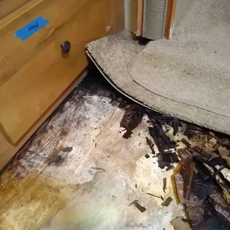 Wood Floor Water Damage in Security-Widefield, CO